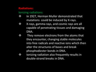 Radiations:
Ionizing radiations:
 In 1927, Herman Muller demonstrated that
mutations could be induced by X-rays.
 X-rays, gamma rays, and cosmic rays are all
capable of penetrating tissues and damaging
DNA.
 They remove electrons from the atoms that
they encounter, changing stable molecules
into free radicals and reactive ions which then
alter the structures of bases and break
phosphodiester bonds in DNA.
 Ionizing radiation also frequently results in
double-strand breaks in DNA.
 