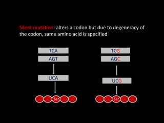 Neutral mutation: mutation that alters the amino acid
sequence of the protein but does not change its function as
replaced...