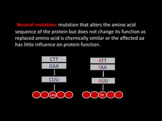 Loss of function mutations:
 Complete or partial loss of the normal function
 Structure of protein is so altered that it...