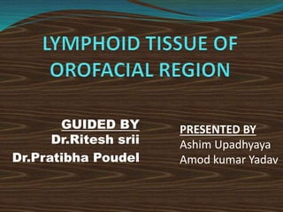 GUIDED BY
Dr.Ritesh srii
Dr.Pratibha Poudel
PRESENTED BY
Ashim Upadhyaya
Amod kumar Yadav
 