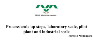Process scale up steps, laboratory scale, pilot
plant and industrial scale
-Purvesh Mendapara
 