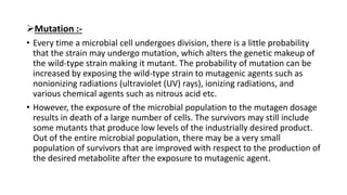 Mutation :-
• Every time a microbial cell undergoes division, there is a little probability
that the strain may undergo mutation, which alters the genetic makeup of
the wild-type strain making it mutant. The probability of mutation can be
increased by exposing the wild-type strain to mutagenic agents such as
nonionizing radiations (ultraviolet (UV) rays), ionizing radiations, and
various chemical agents such as nitrous acid etc.
• However, the exposure of the microbial population to the mutagen dosage
results in death of a large number of cells. The survivors may still include
some mutants that produce low levels of the industrially desired product.
Out of the entire microbial population, there may be a very small
population of survivors that are improved with respect to the production of
the desired metabolite after the exposure to mutagenic agent.
 