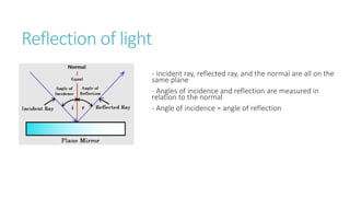 Reflection of light
- Incident ray, reflected ray, and the normal are all on the
same plane
- Angles of incidence and reflection are measured in
relation to the normal
- Angle of incidence = angle of reflection
 