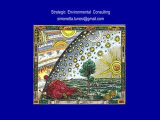 Strategic Environmental Consulting
simonetta.tunesi@gmail.com
 