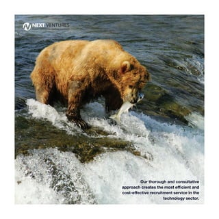 Our thorough and consultative
approach creates the most efficient and
cost-effective recruitment service in the
technology sector.
 