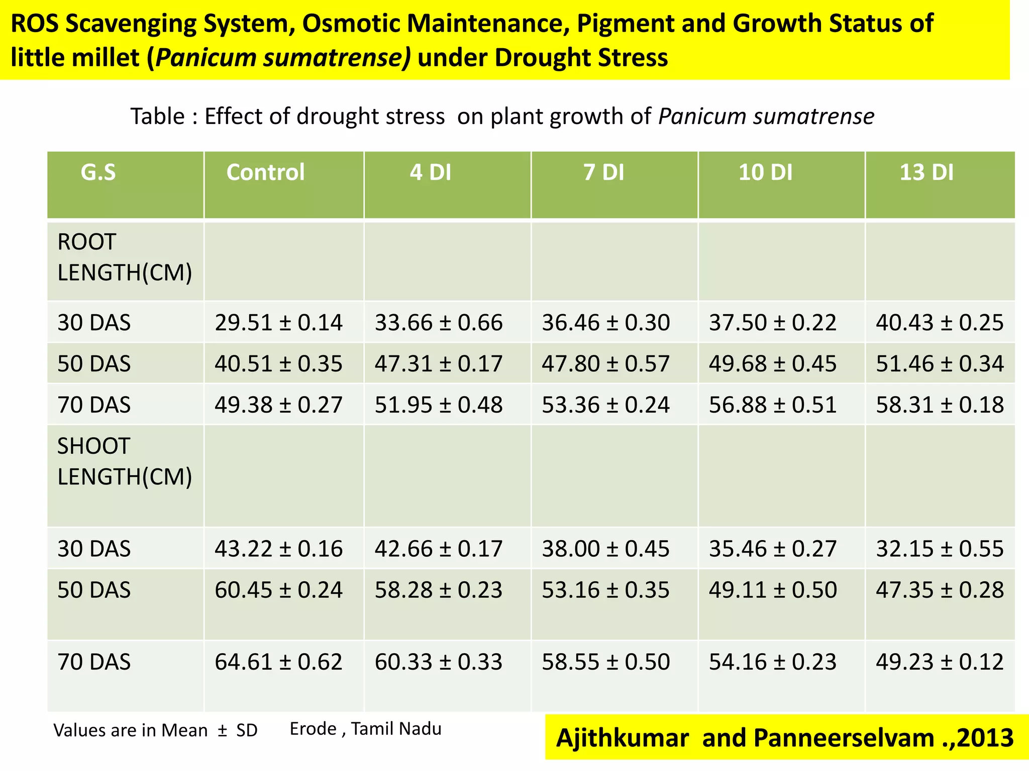 G.S Control 4 DI 7 DI 10 DI 13 DI
ROOT
LENGTH(CM)
30 DAS 29.51 ± 0.14 33.66 ± 0.66 36.46 ± 0.30 37.50 ± 0.22 40.43 ± 0.25
50 DAS 40.51 ± 0.35 47.31 ± 0.17 47.80 ± 0.57 49.68 ± 0.45 51.46 ± 0.34
70 DAS 49.38 ± 0.27 51.95 ± 0.48 53.36 ± 0.24 56.88 ± 0.51 58.31 ± 0.18
SHOOT
LENGTH(CM)
30 DAS 43.22 ± 0.16 42.66 ± 0.17 38.00 ± 0.45 35.46 ± 0.27 32.15 ± 0.55
50 DAS 60.45 ± 0.24 58.28 ± 0.23 53.16 ± 0.35 49.11 ± 0.50 47.35 ± 0.28
70 DAS 64.61 ± 0.62 60.33 ± 0.33 58.55 ± 0.50 54.16 ± 0.23 49.23 ± 0.12
Values are in Mean ± SD
Table : Effect of drought stress on plant growth of Panicum sumatrense
Ajithkumar and Panneerselvam .,2013
ROS Scavenging System, Osmotic Maintenance, Pigment and Growth Status of
little millet (Panicum sumatrense) under Drought Stress
Erode , Tamil Nadu
 