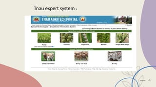 Role of expert system in extension advisory services | PPTX
