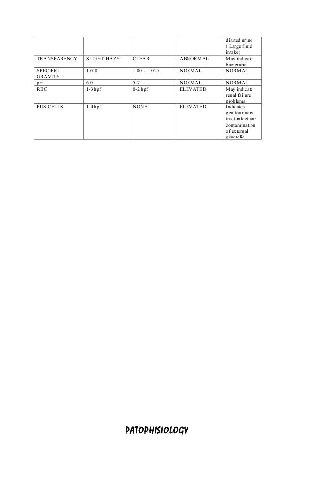 Essay Writing Examples For High School How To Write Application Essay References First Day Of High School Essay also High School Dropout Essay Review Of Literature For Social Media Marketing Essay English Spm