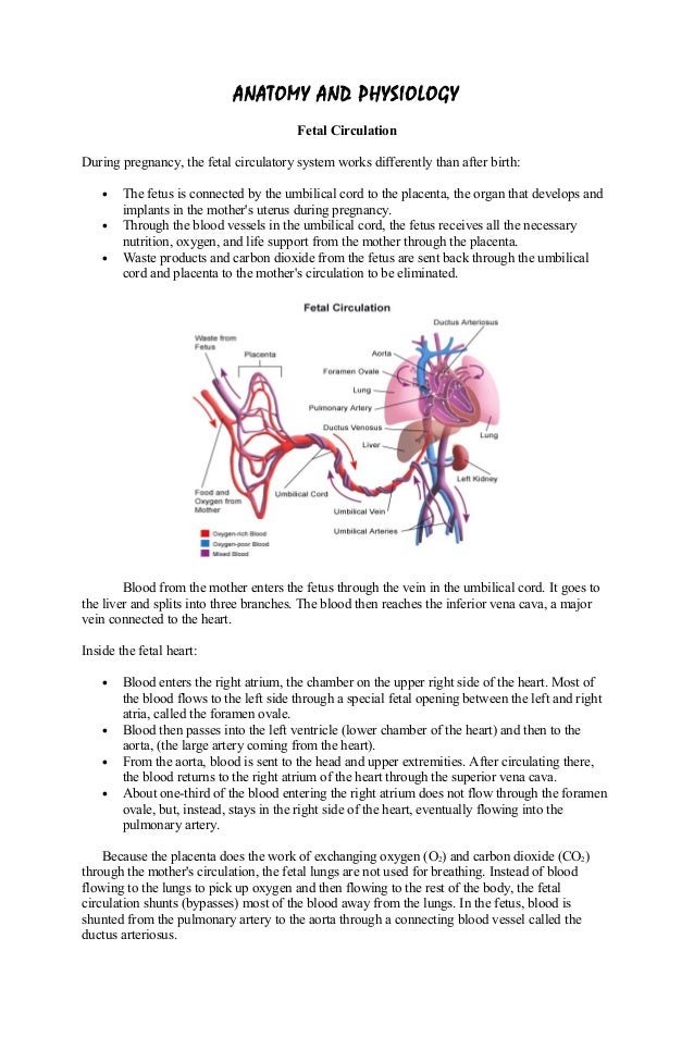 Case study sepsis nursing