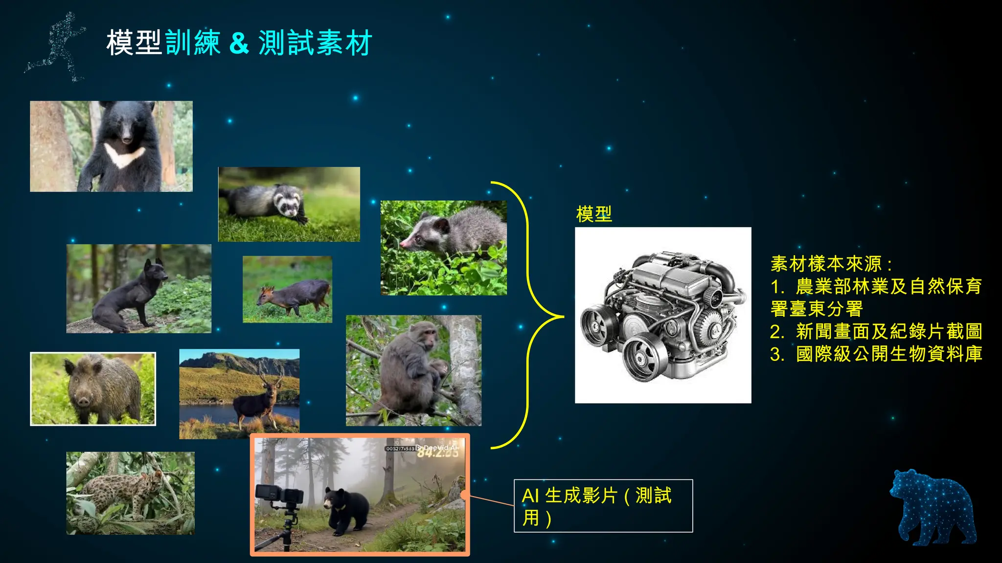 模型訓練 & 測試素材
模型
AI 生成影片 ( 測試
用 )
素材樣本來源 :
1. 農業部林業及自然保育
署臺東分署
2. 新聞畫面及紀錄片截圖
3. 國際級公開生物資料庫
 