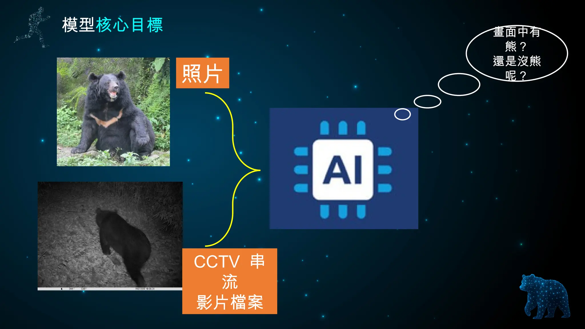 模型核心目標
照片
CCTV 串
流
影片檔案
畫面中有
熊？
還是沒熊
呢？
 