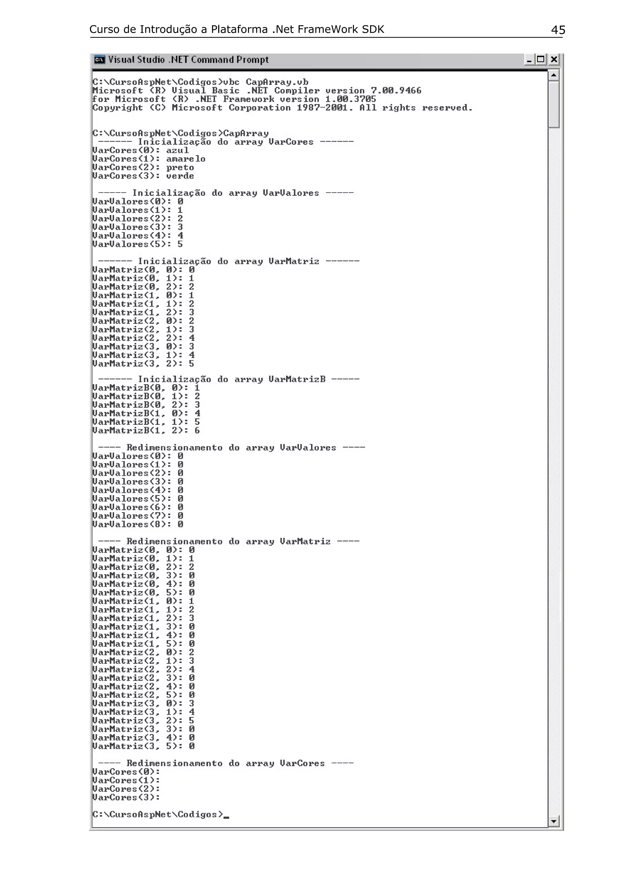 Curso de Introdução a Plataforma .Net FrameWork SDK   45
 