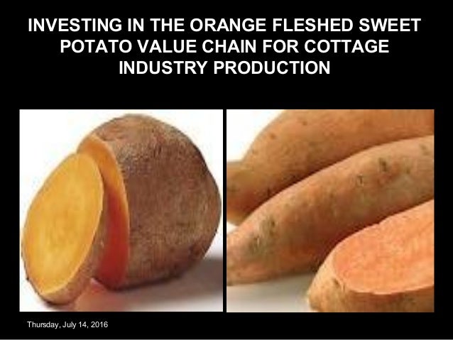Executive summary of sweet potato image