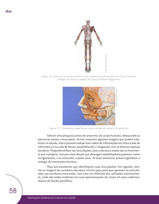 Orientações Didáticas do Currículo da Cidade
58
Arte
Figura 16 – Estrutura muscular de Henry Gray, anatomista famoso pelo livro Gray’s Anatomy
(colagem de diversas imagens de Gray por Mikael Häggström).
Figura 17 – Estruturas superficiais subcutâneas do rosto e do pescoço.
Solicite uma pesquisa acerca da anatomia do corpo humano, destacando as
estruturas ósseas e musculares. Acima, trazemos algumas imagens que podem cola-
borar no estudo, mas é possível realizar essa coleta de informações em visita à sala de
informática e/ou sala de leitura, possibilitando a integração com os diversos espaços
escolares. Proponha ênfase nas articulações, pois a estrutura óssea não se movimen-
ta por si própria, mas por meio dessas que abrangem estabilizadores passivos, como
os ligamentos, e os músculos, a parte ativa. As duas estruturas juntas engendram a
sinergia do movimento humano.
Peça aos estudantes que identifiquem suas articulações. Em seguida, reto-
me as imagens da curadoria educativa inicial e peça para que apontem as articula-
ções nas esculturas marcando, com uma cor diferente das utilizadas anteriormen-
te, onde eles estão evidentes em suas representações do corpo em seus cadernos/
diários de bordo/portfólios.
Imagem:
Wikimedia
Commons
Imagem:
Wikimedia
Commons
 