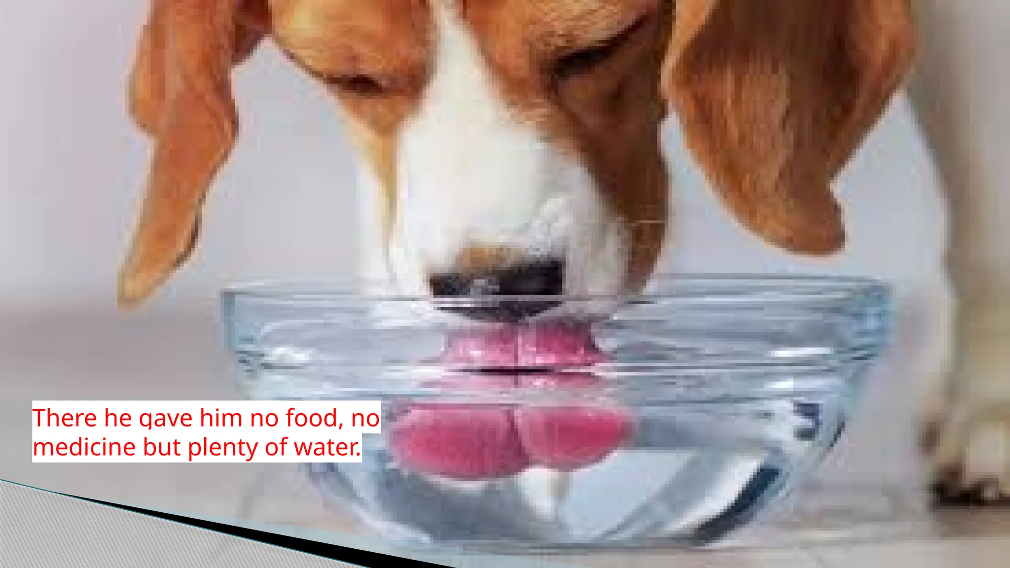 There he gave him no food, no
medicine but plenty of water.
 