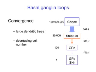 Neural structures involved in the control of movement.ppt