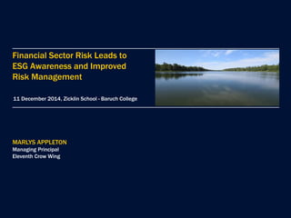 MARLYS APPLETON
Managing Principal
Eleventh Crow Wing
Financial Sector Risk Leads to
ESG Awareness and Improved
Risk Management
11 December 2014, Zicklin School - Baruch College
 