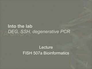 Into the lab
DEG, SSH, degenerative PCR


              Lecture
      FISH 507a Bioinformatics
 