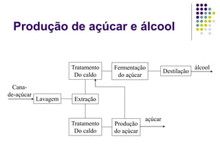 Produção de açúcar e álcool
Produção
do açúcar
açúcar
Fermentação
do açúcar
Destilação
álcool
Cana-
de-açúcar
Lavagem Extração
Tratamento
Do caldo
Tratamento
Do caldo
 