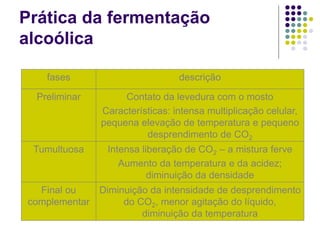 Prática da fermentação
alcoólica
fases descrição
Preliminar Contato da levedura com o mosto
Características: intensa multiplicação celular,
pequena elevação de temperatura e pequeno
desprendimento de CO2
Tumultuosa Intensa liberação de CO2 – a mistura ferve
Aumento da temperatura e da acidez;
diminuição da densidade
Final ou
complementar
Diminuição da intensidade de desprendimento
do CO2, menor agitação do líquido,
diminuição da temperatura
 
