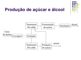 Produção de açúcar e álcool
Produção
do açúcar
açúcar
Fermentação
do açúcar
Destilação
álcool
Cana-
de-açúcar
Lavagem Extração
Tratamento
Do caldo
Tratamento
Do caldo
 