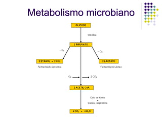 Metabolismo microbiano
 