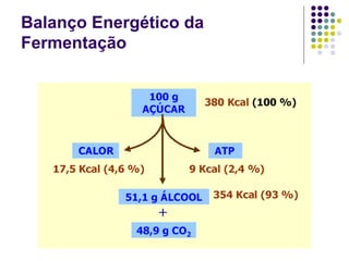 Balanço Energético da
Fermentação
 