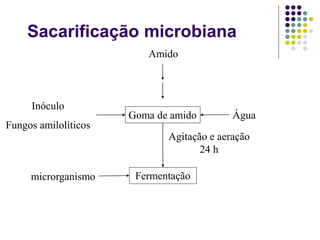 Sacarificação microbiana
Amido
Goma de amido
Inóculo
Fungos amilolíticos
Água
Agitação e aeração
24 h
Fermentação
microrganismo
 