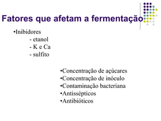 Fatores que afetam a fermentação
•Inibidores
- etanol
- K e Ca
- sulfito
•Concentração de açúcares
•Concentração de inóculo
•Contaminação bacteriana
•Antissépticos
•Antibióticos
 