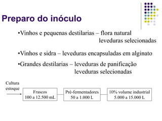 Preparo do inóculo
•Vinhos e pequenas destilarias – flora natural
leveduras selecionadas
•Vinhos e sidra – leveduras encapsuladas em alginato
•Grandes destilarias – leveduras de panificação
leveduras selecionadas
Cultura
estoque
Frascos
100 a 12.500 mL
Pré-fermentadores
50 a 1.000 L
10% volume industrial
5.000 a 15.000 L
 