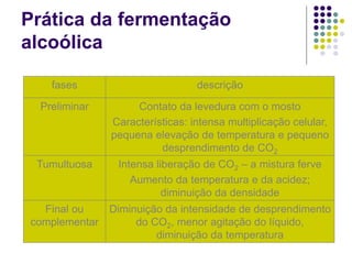 Prática da fermentação
alcoólica
fases descrição
Preliminar Contato da levedura com o mosto
Características: intensa multiplicação celular,
pequena elevação de temperatura e pequeno
desprendimento de CO2
Tumultuosa Intensa liberação de CO2 – a mistura ferve
Aumento da temperatura e da acidez;
diminuição da densidade
Final ou
complementar
Diminuição da intensidade de desprendimento
do CO2, menor agitação do líquido,
diminuição da temperatura
 