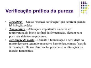 Verificação prática da pureza
• Drosófilas – São as “moscas do vinagre” que ocorrem quando
há infecção acética
• Temperatura – Alterações importantes na curva de
temperatura, do início ao final da fermentação, alertam para
possíveis defeitos no processo.
• Densidade do mosto – Durante a fermentação a densidade do
mosto decresce segundo uma curva harmônica, com as fases da
fermentação. De sua observação, percebe-se as alterações da
marcha fermetativa.
 
