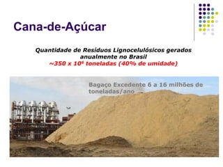 Cana-de-Açúcar
Bagaço Excedente 6 a 16 milhões de
toneladas/ano
Quantidade de Resíduos Lignocelulósicos gerados
anualmente no Brasil
~350 x 106 toneladas (40% de umidade)
 