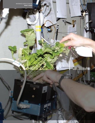 REFERENCE GUIDE TO THE ISS
             WHAT IT DOES
                             20
 