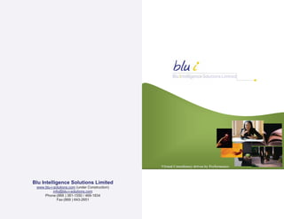 Blu Brochure