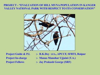 PROJECT - “EVALUATION OF HILL MYNA POPULATION IN KANGER
VALLEY NATIONAL PARK WITH RESPECT TO ITS CONSERVATION”
Project Guide & P.I. :- R.K.Dey I.F.S., APCCF, SFRTI, Raipur
Project In-charge :- Manas Manohar Ujjaini (T.A.)
Project Fellows :- Jay Prakash George (SRF)
 