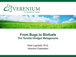From Bugs to Biofuels
The Termite Hindgut Metagenome
Peter Luginbühl, Ph.D.
Verenium Corporation
 