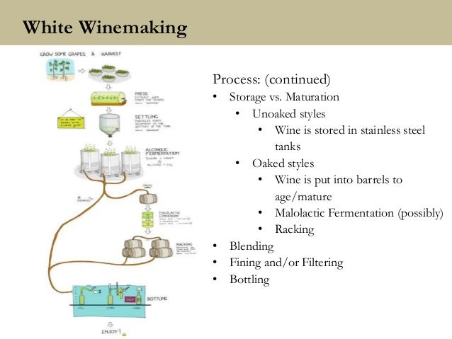 wine-education-seminar-final-vwe-62916-4-638.jpg?cb=1468521745