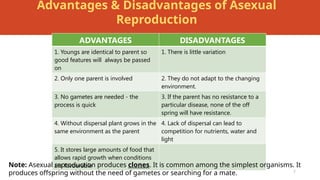 Reproduction in plants is very Good subject | PPTX