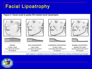 UPDATED MED LONG TERM | PPT