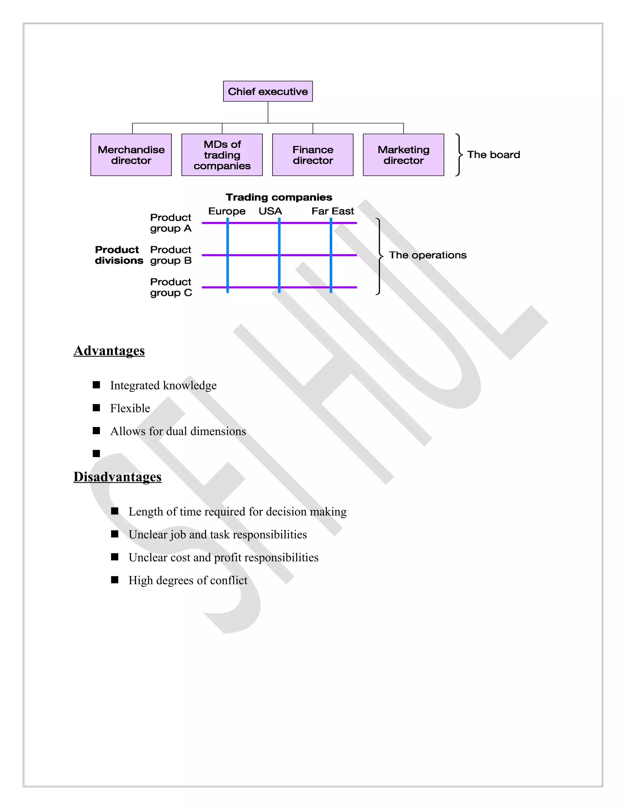 Advantages

   Integrated knowledge
   Flexible
   Allows for dual dimensions
  
Disadvantages

       Length of time required for decision making
       Unclear job and task responsibilities
       Unclear cost and profit responsibilities
       High degrees of conflict
 