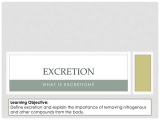 EXCRETION
               WHAT IS EXCRETION?



Learning Objective:
Define excretion and explain the importance of removing nitrogenous
and other compounds from the body.
 