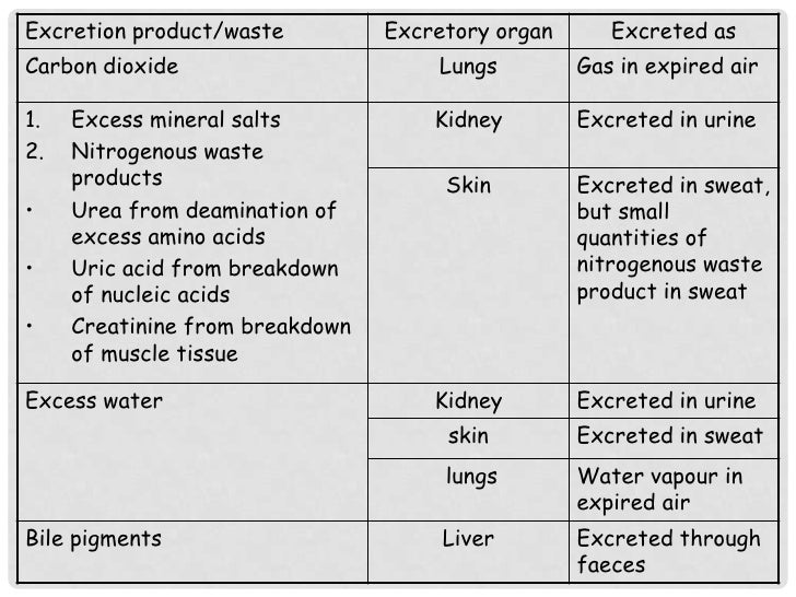 What is Excretion?