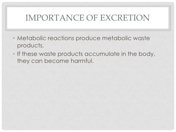 What is Excretion?
