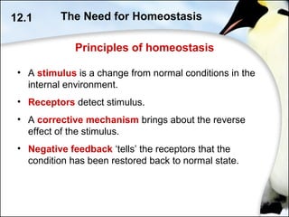 Principles of homeostasis
• A stimulus is a change from normal conditions in the
internal environment.
• Receptors detect stimulus.
• A corrective mechanism brings about the reverse
effect of the stimulus.
• Negative feedback ‘tells’ the receptors that the
condition has been restored back to normal state.
12.1 The Need for Homeostasis
 