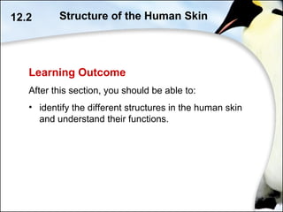 Learning Outcome
After this section, you should be able to:
• identify the different structures in the human skin
and understand their functions.
12.2 Structure of the Human Skin
 