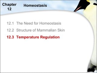 12.1 The Need for Homeostasis
12.2 Structure of Mammalian Skin
12.3 Temperature Regulation
Chapter
12
Homeostasis
 