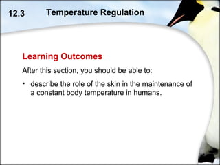 12.3 Temperature Regulation
Learning Outcomes
After this section, you should be able to:
• describe the role of the skin in the maintenance of
a constant body temperature in humans.
 