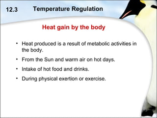 Heat gain by the body
12.3
• Heat produced is a result of metabolic activities in
the body.
• From the Sun and warm air on hot days.
• Intake of hot food and drinks.
• During physical exertion or exercise.
Temperature Regulation
 