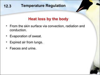 Heat loss by the body
12.3
• From the skin surface via convection, radiation and
conduction.
• Evaporation of sweat.
• Expired air from lungs.
• Faeces and urine.
Temperature Regulation
 